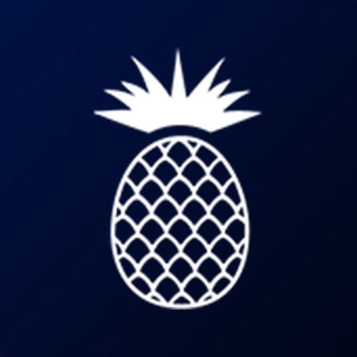 Design Studio by WPSIR