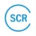 Security Council Report