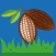 Cacao Piso