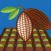 Cacao Suelo