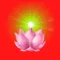 Shri Prayagdham Satsang