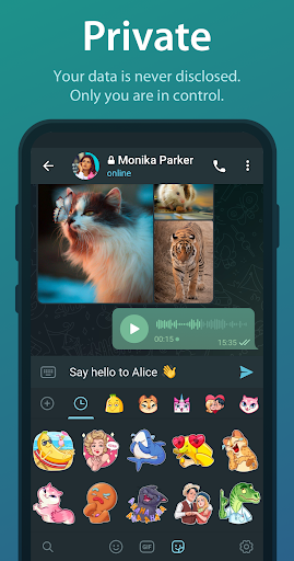 Telegram Screenshots