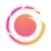 IG Story Viewer - StoryPRO