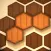 Wooden Hexa Puzzle
