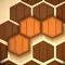 Wooden Hexa Puzzle