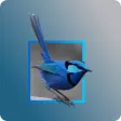 Blue Wren Child Care Centre