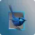 Blue Wren Child Care Centre