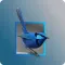 Blue Wren Child Care Centre