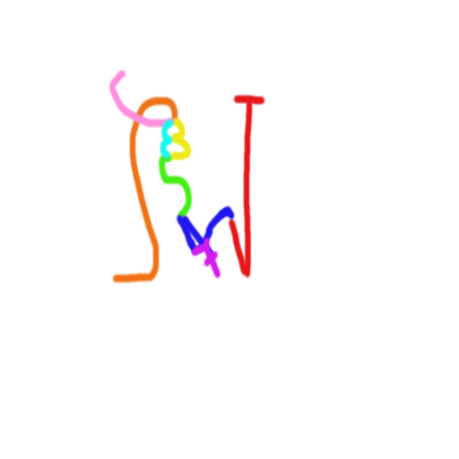 NUMERUS