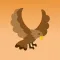 yuru Bird Photo