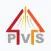 PVS Paired Voting System