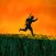 3D Ninja Warrior Run (a platform shooting game)