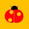 Fast Ladybird