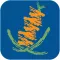 ParkFinder WA