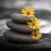 Color Splash Photo