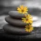 Color Splash Photo