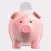 Picky Piggy Bank