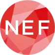 NEXT EINSTEIN FORUM (NEF)