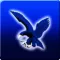 OBF Ateneo