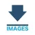 Search Image box