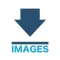 Search Image box