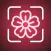 Flower Identifier - AI Scan