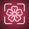 Flower Identifier - AI Scan
