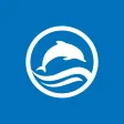 Dolphin Promo Dolphin Promo