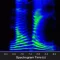Audio Spectrogram