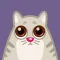 Cat Power – Animated Stickers