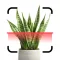 Plant Identifier App.