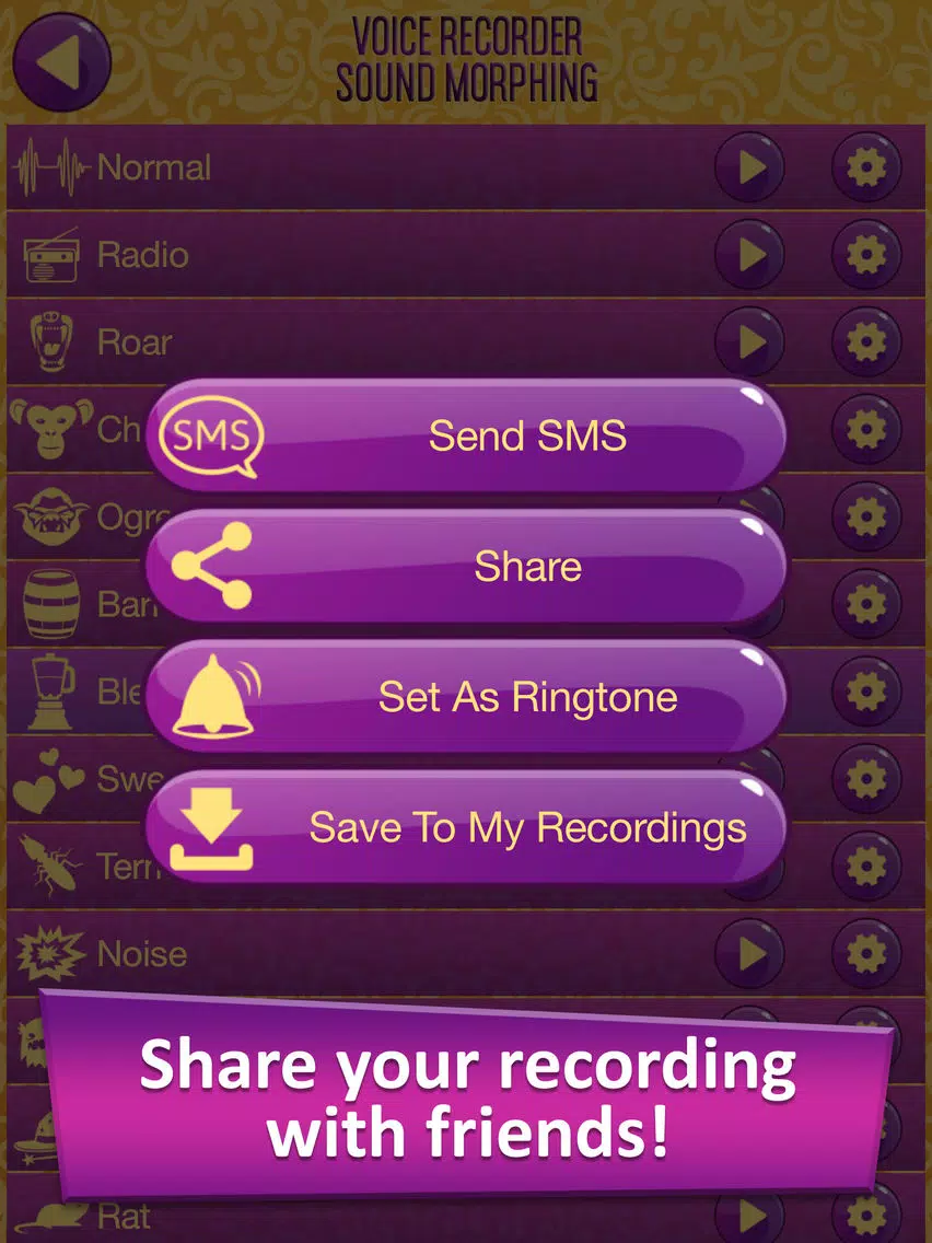 Voice Recorder Sound Morphing & Audio Effects - Transform your Speech with Vocal Changer iPad Screenshots