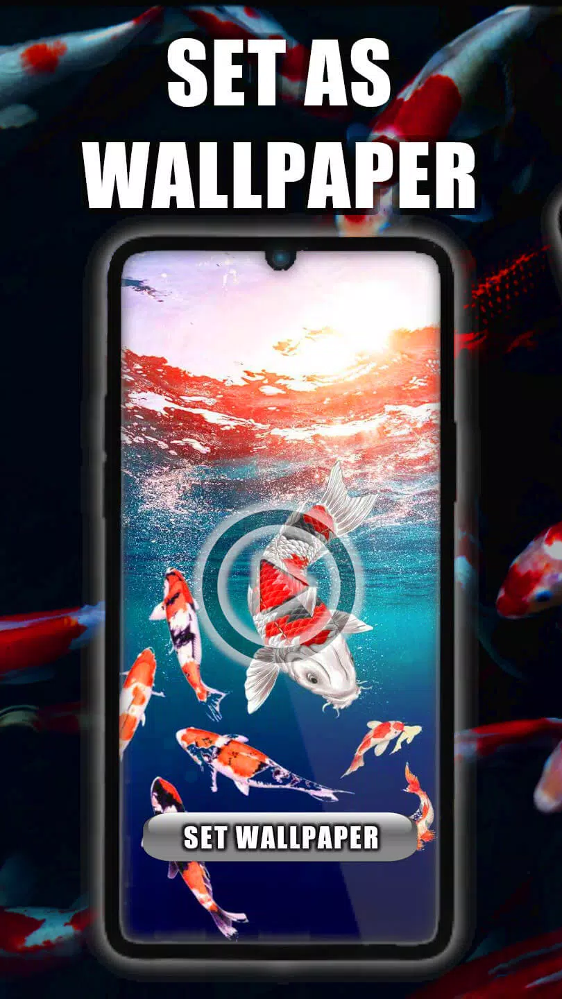 Koi Fish Live Wallpaper Screenshots