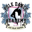 Pole Dance Academy Pole Dance Academy