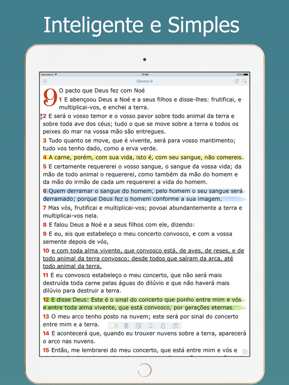 Bíblia Sagrada Almeida e Audio iPad Screenshots