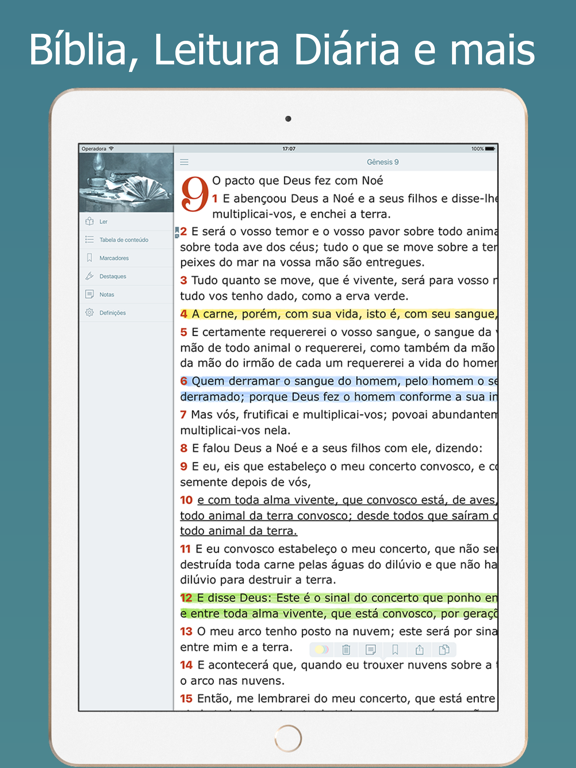 Bíblia Sagrada Almeida e Audio iPad Screenshots
