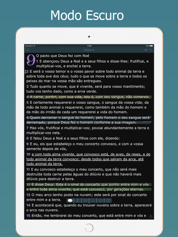 Bíblia Sagrada Almeida e Audio iPad Screenshots