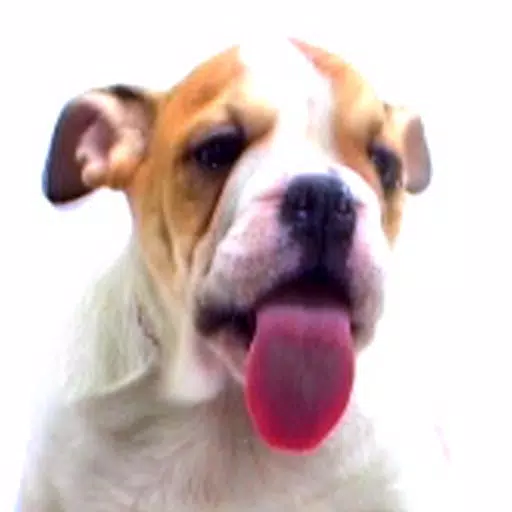 Slurp stickers for pet lovers