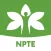 NPTE Test Prep 2024