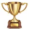 IQ Winners