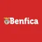 O BENFICA (Publicação Oficial)