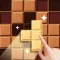 Block Puzzle - Sudoku Game