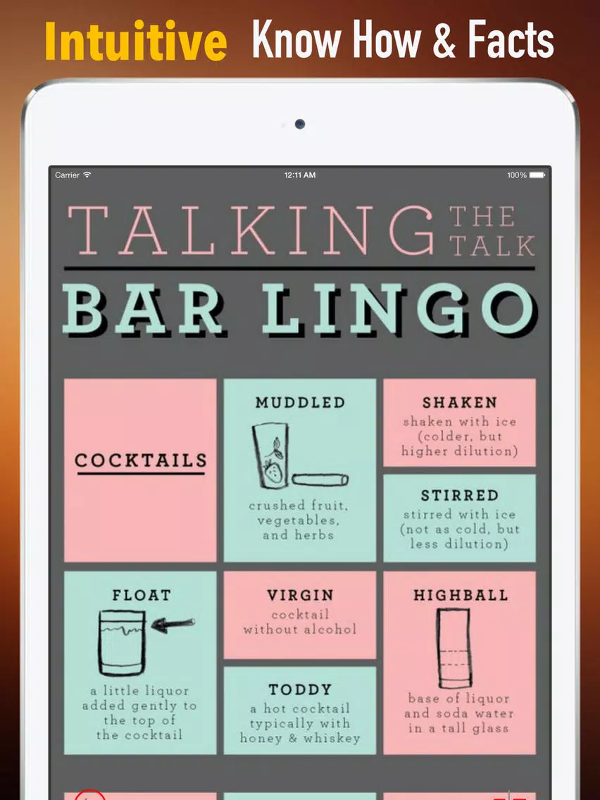Bartender for Beginners:Tips and Tutorial iPad Screenshots