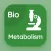 Metabolism Quiz