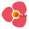 深圳FM, 深圳广播