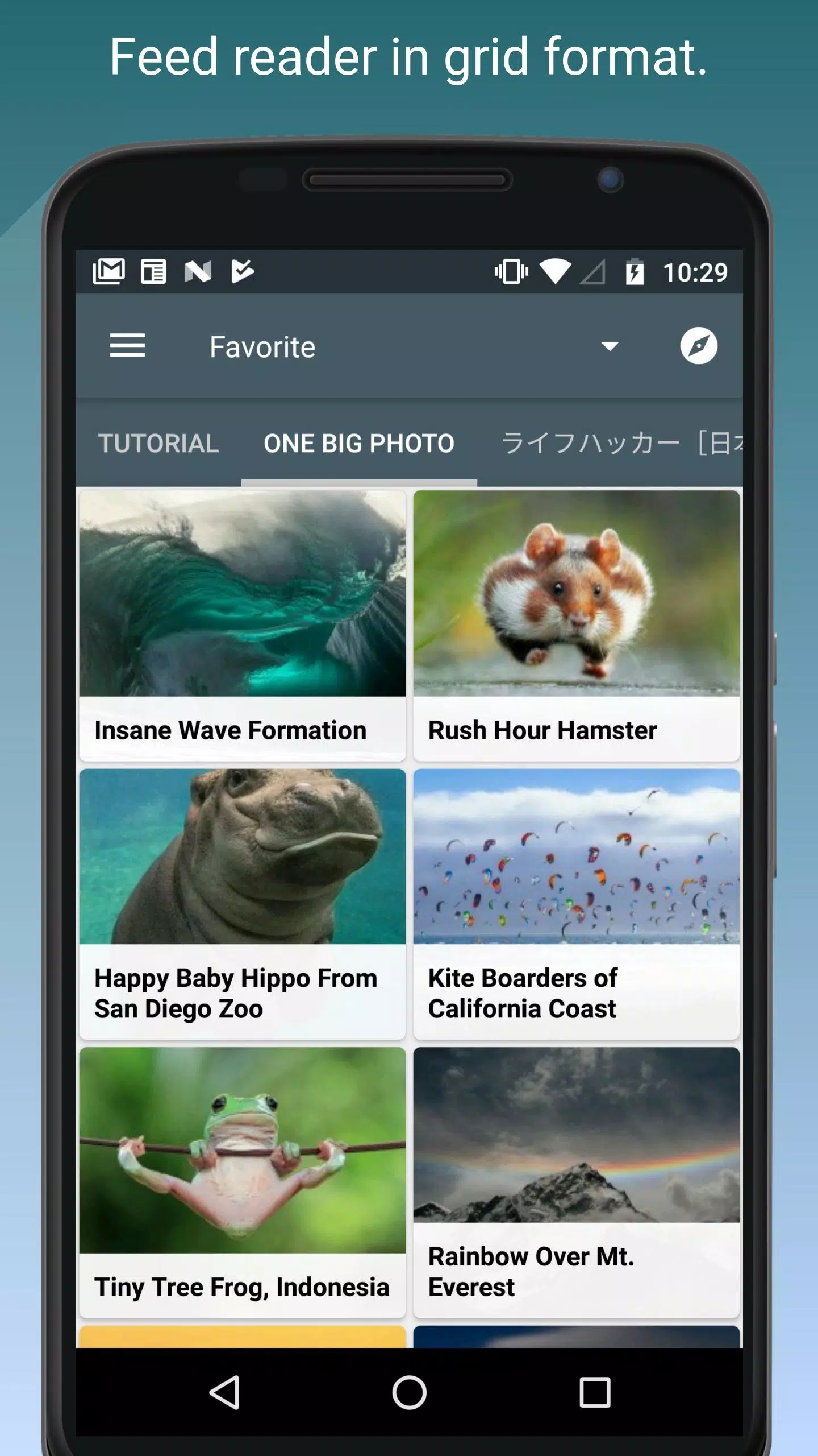 Скриншоты Feed Go