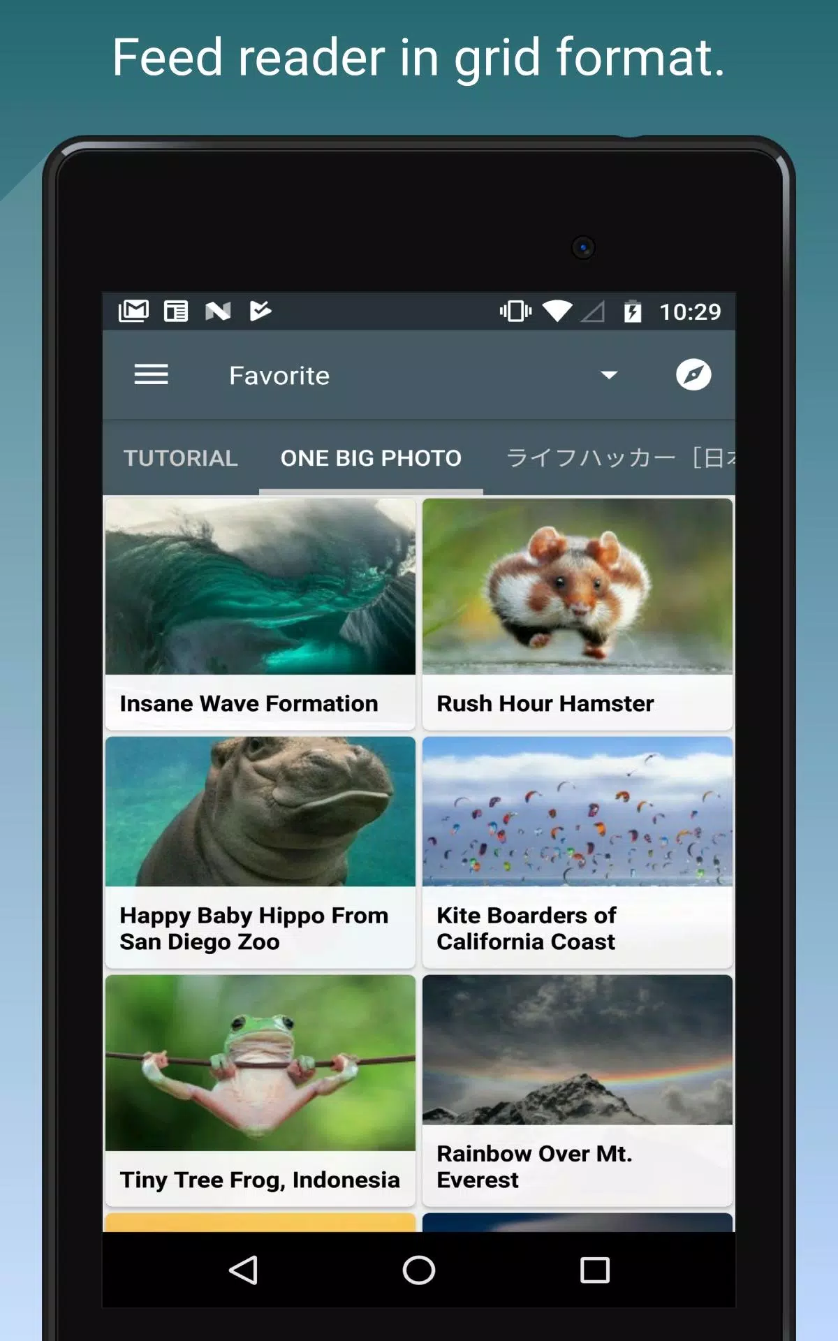 Скриншоты Feed Go