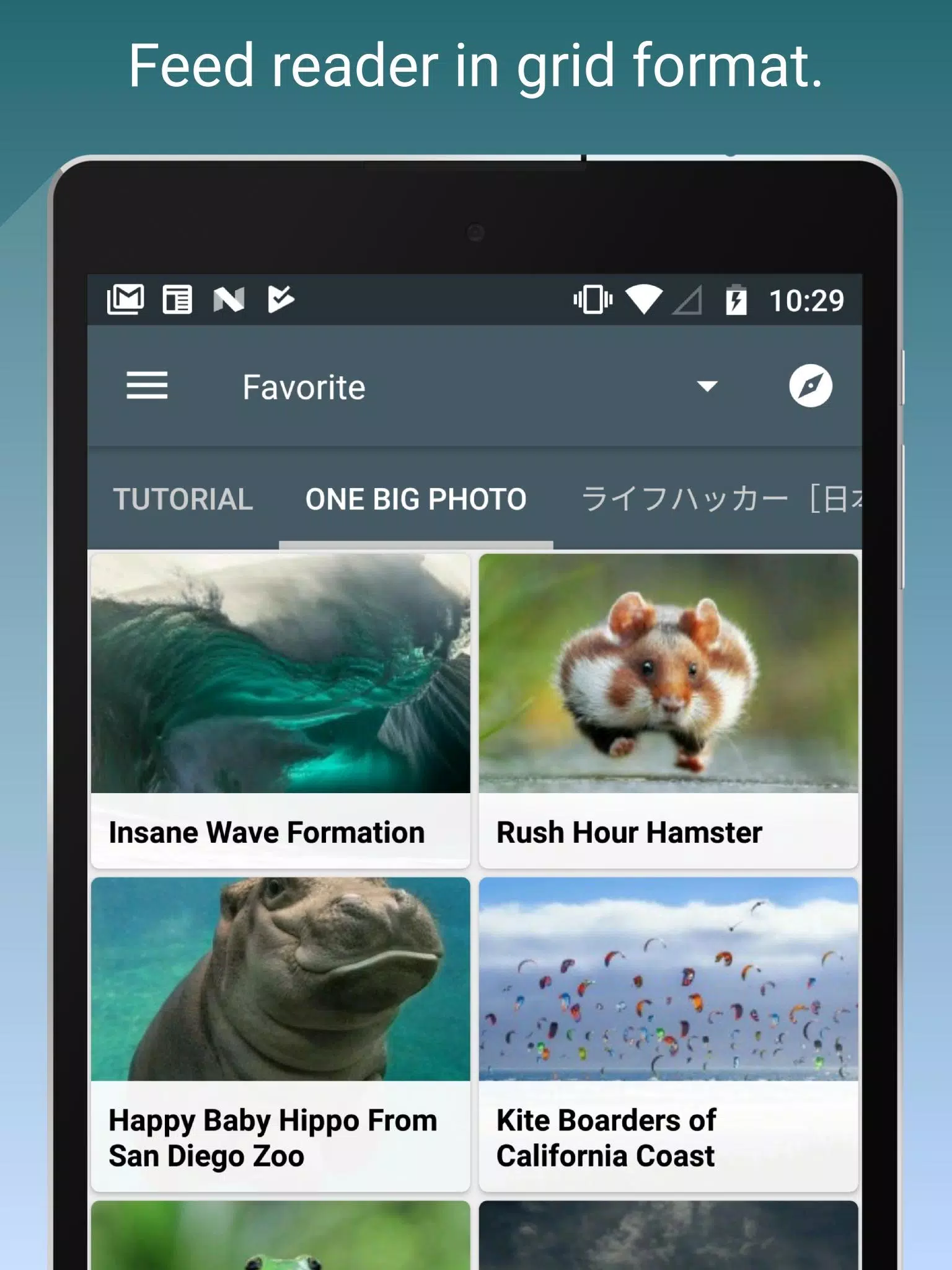 Скриншоты Feed Go