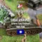 Chinese Tanks