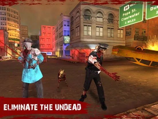 Zrzuty ekranu Resident Zombie Shooter iPad 